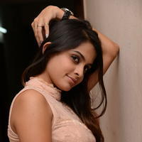 Sheena Shahabadi at Nuvve Naa Bangaram First Look Release Photos | Picture 599593